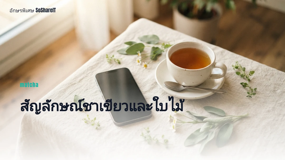 สัญลักษณ์ชาเขียวและใบไม้ — matcha อักษรพิเศษ
