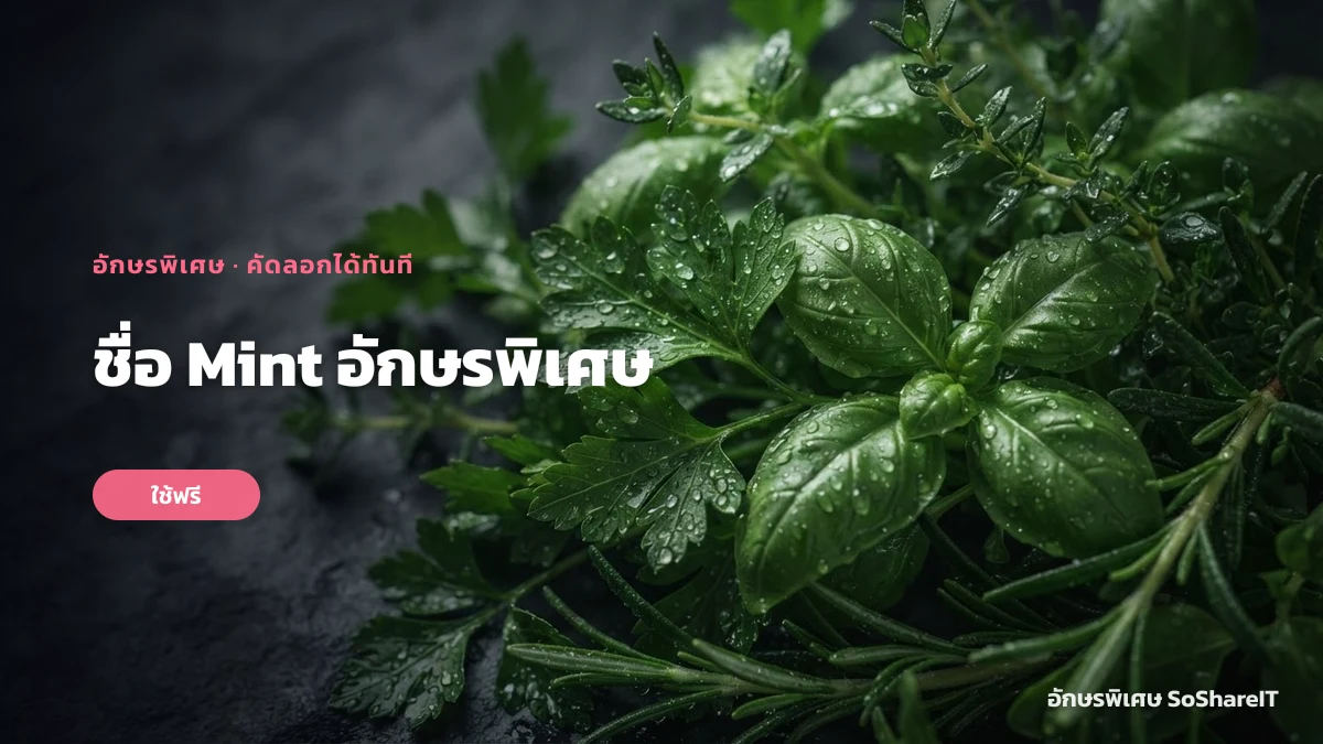 ชื่อ Mint อักษรพิเศษ — Mint อักษรพิเศษ