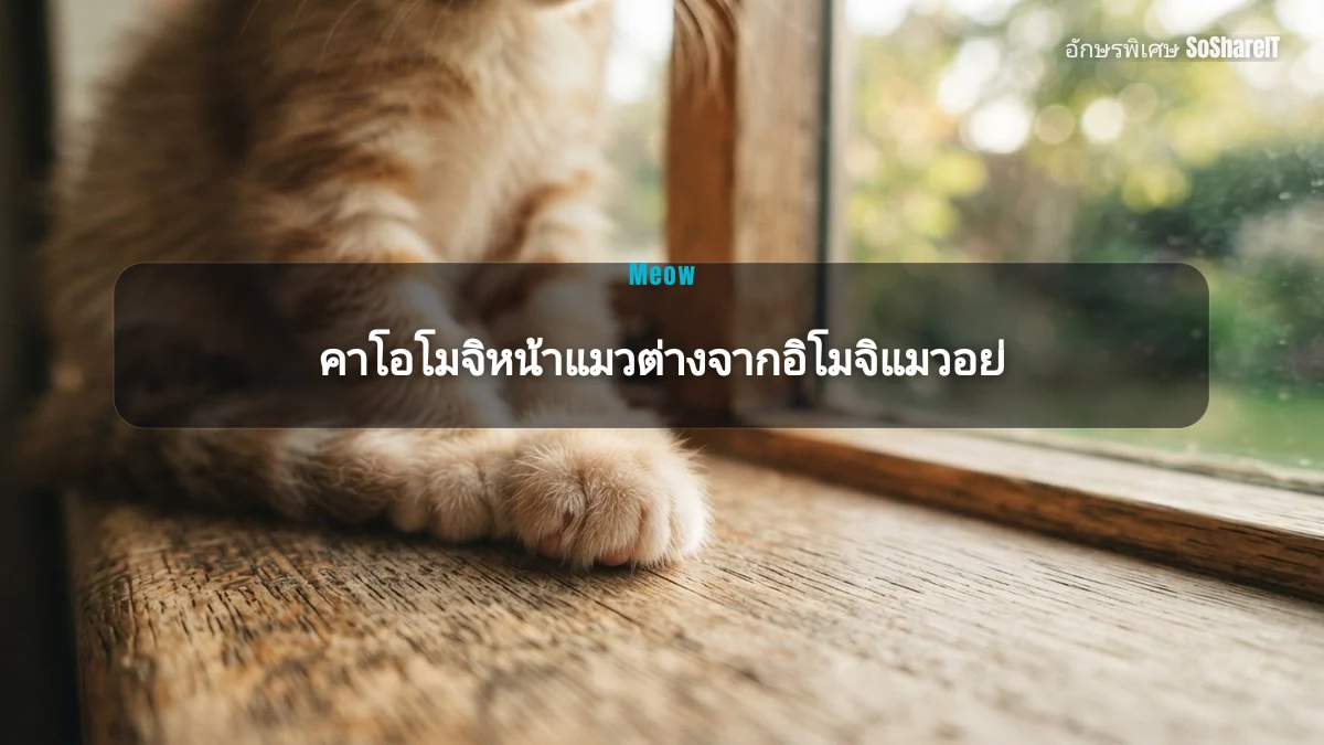 คาโอโมจิหน้าแมวต่างจากอิโมจิแมวอย่ — Meow อักษรพิเศษ