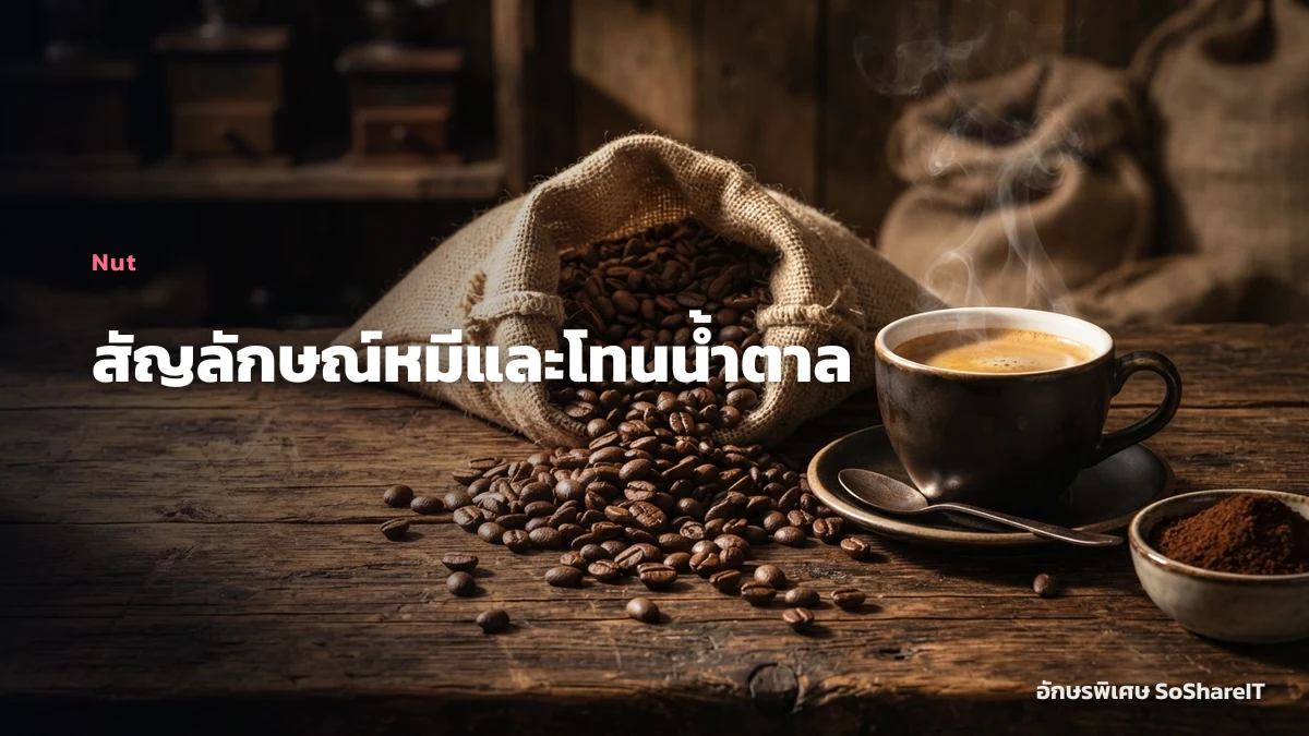 สัญลักษณ์หมีและโทนน้ำตาล — Nut อักษรพิเศษ