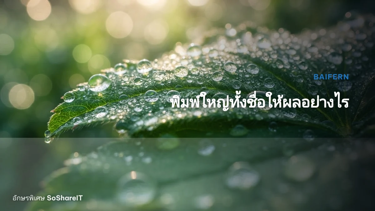 พิมพ์ใหญ่ทั้งชื่อให้ผลอย่างไร — BAIFERN อักษรพิเศษ