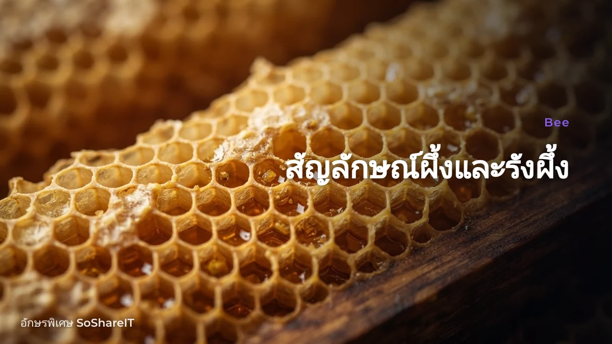 สัญลักษณ์ผึ้งและรังผึ้ง — Bee อักษรพิเศษ