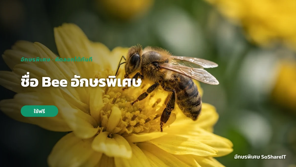 ชื่อ Bee อักษรพิเศษ — Bee อักษรพิเศษ