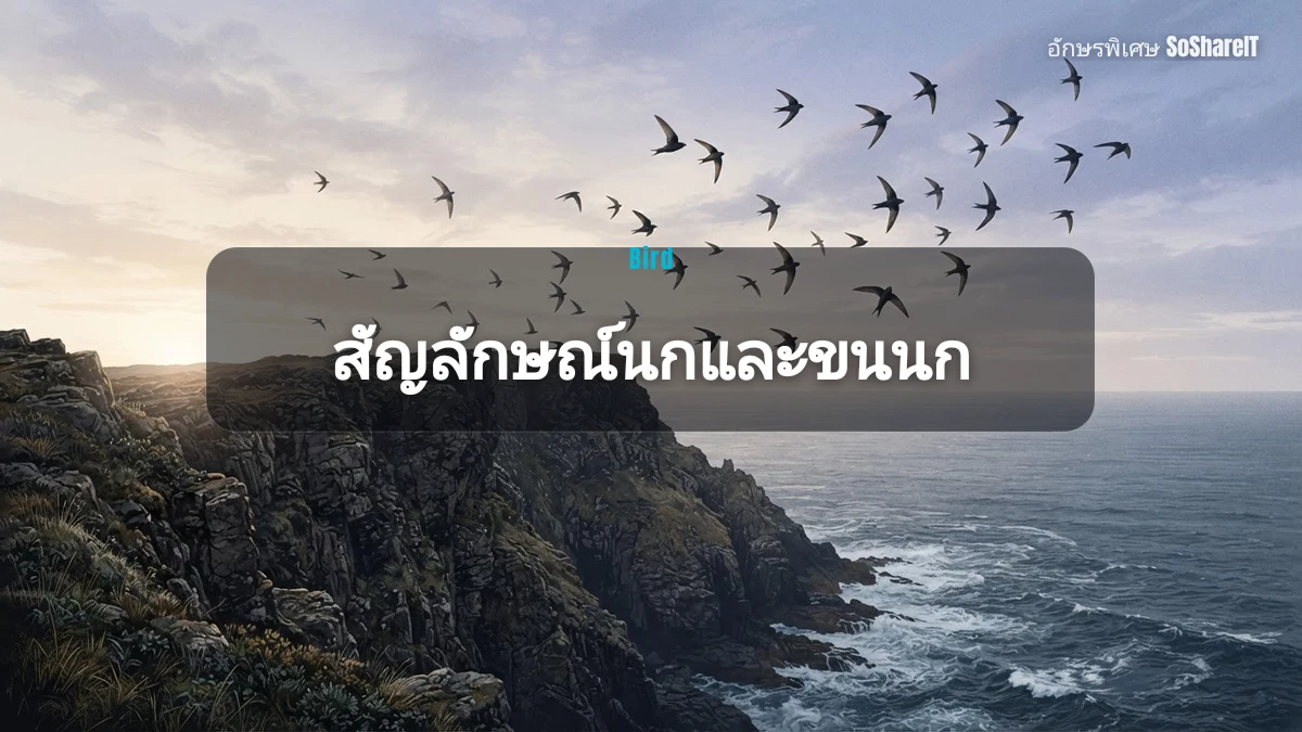สัญลักษณ์นกและขนนก — Bird อักษรพิเศษ