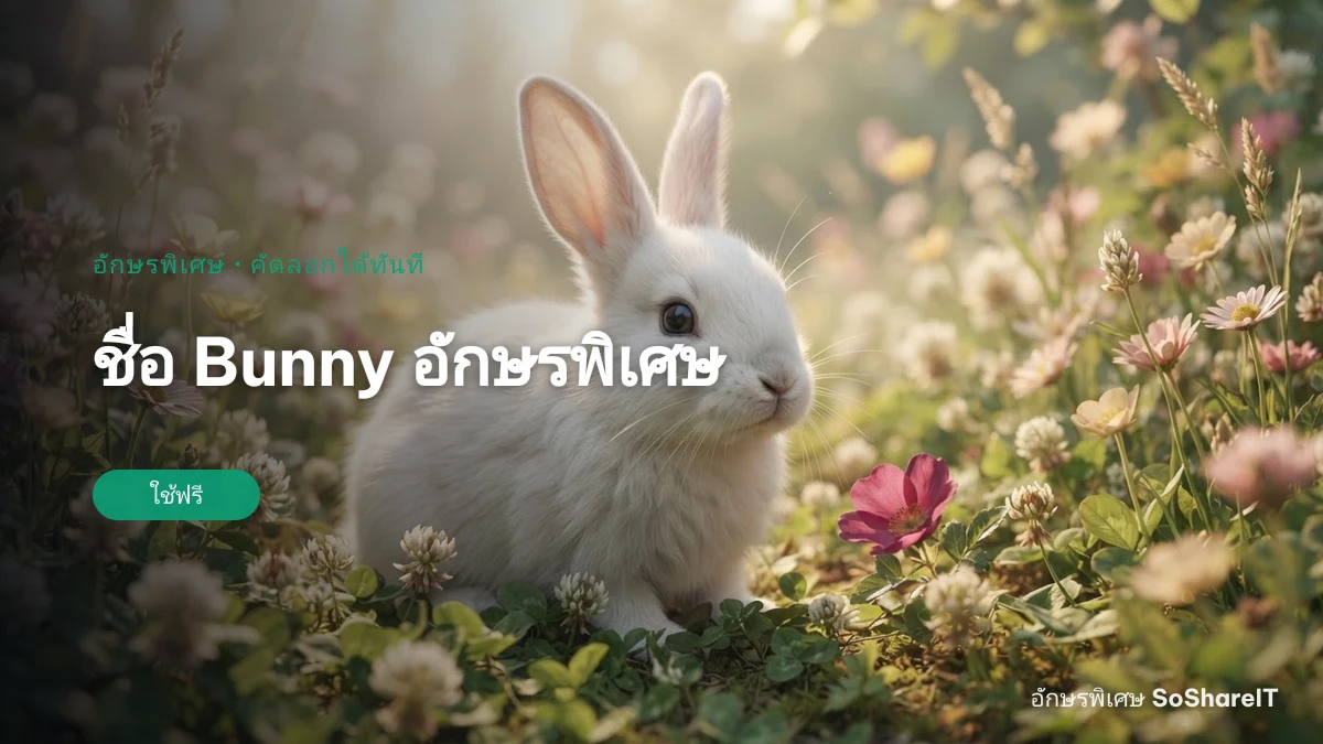 ชื่อ Bunny อักษรพิเศษ — Bunny อักษรพิเศษ