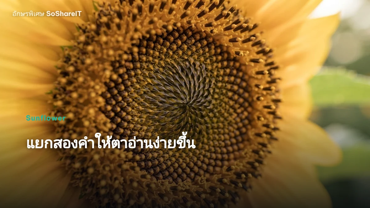 แยกสองคำให้ตาอ่านง่ายขึ้น — Sunflower อักษรพิเศษ
